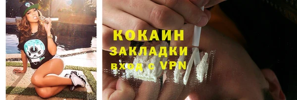 сатива Кинешма