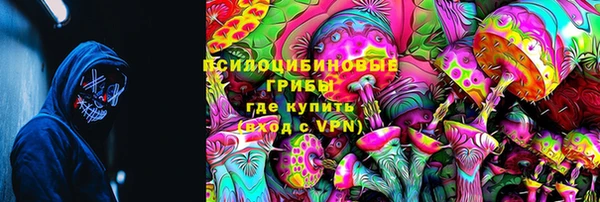 сатива Кинешма