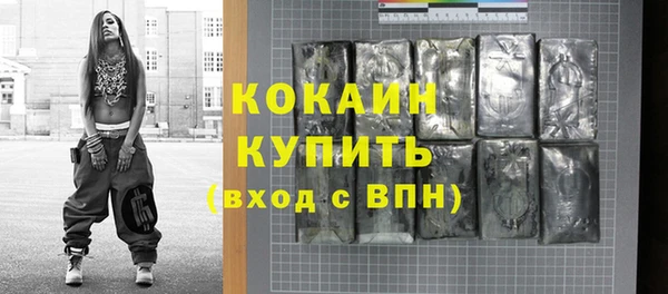 сатива Кинешма
