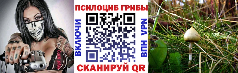 Псилоцибиновые грибы GOLDEN TEACHER Конаково