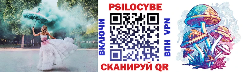 Купить Конаково Псилоцибиновые грибы мицелий